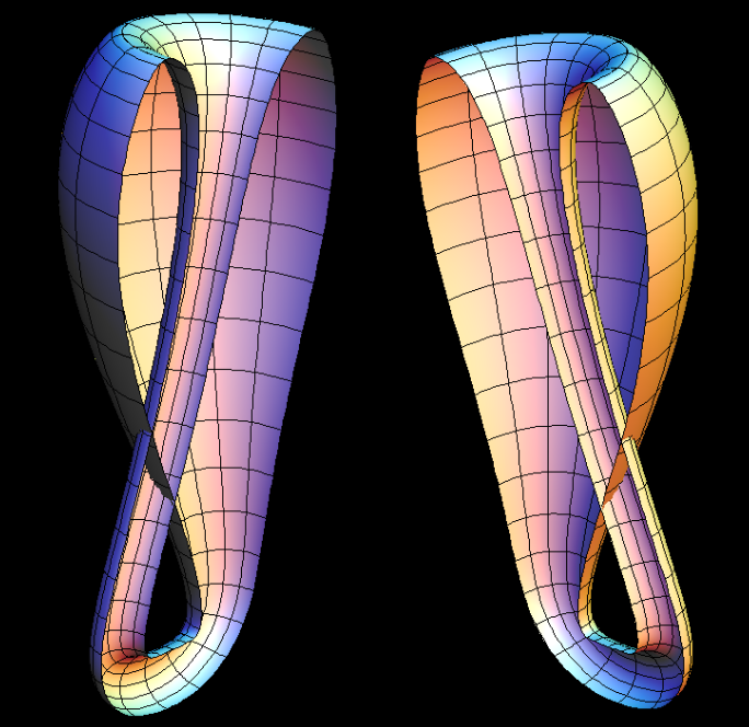 Two-Dimensional (2D) Mobius strip and Figure-8 Klein Bottle (Immersed