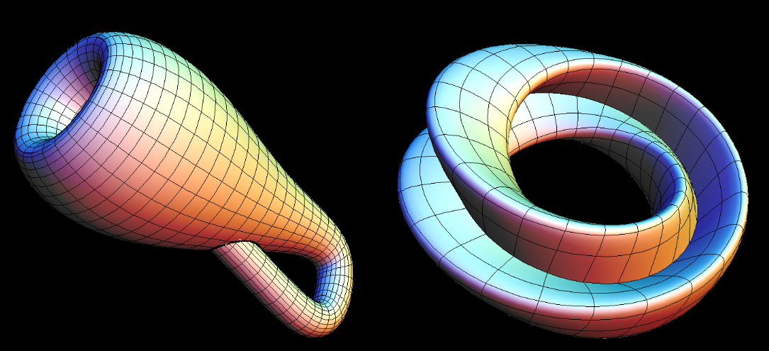 Two-Dimensional (2D) Mobius strip and Figure-8 Klein Bottle (Immersed